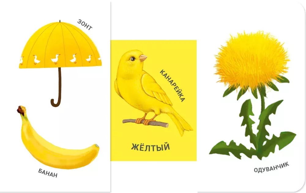 Книжки - задвижки. Какой это цвет?