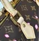 Сумка LOUIS VUITTON х TM Speedy 25, коричневый