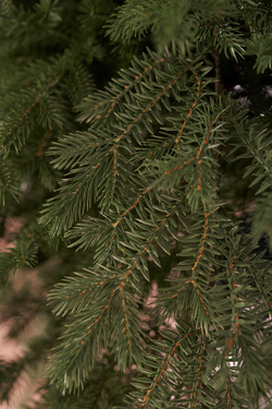 Ель искусственная литая Фиджи