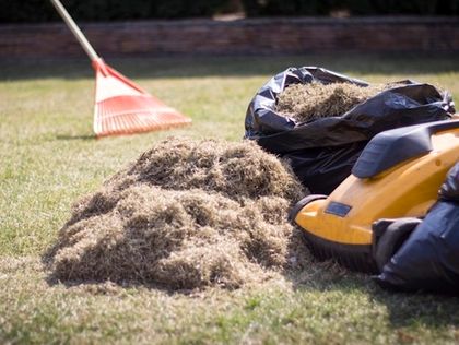Что делать с газоном весной