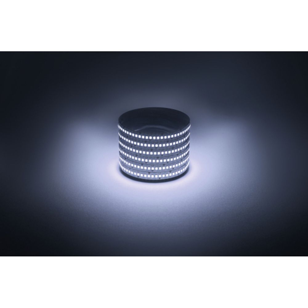 Светодиодная лента ЭРА LS2835 -19,2-240-12-6500K-IP20-1 year-5m холодный белый 5м