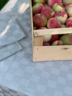 Скатерть 160х225 и 8 салфеток Vallesusa Damier 302 жемчужные