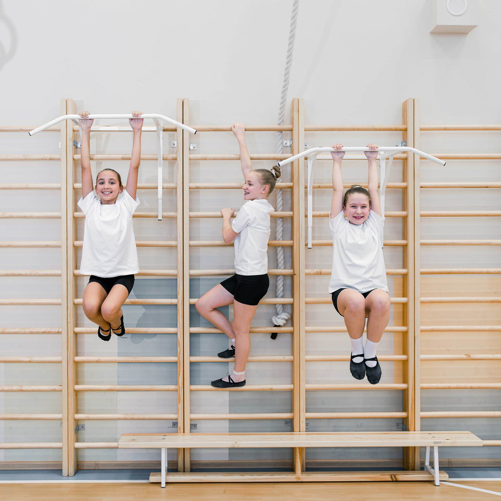 Стенка шведская, гимнастическая массив 150 мм, 2,4х0,6 м ZAVODSPORTA