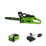 Аккумуляторная цепная пила Greenworks GD40CS20XK2 (1 x 2 Ач, ЗУ) 2008807UA
