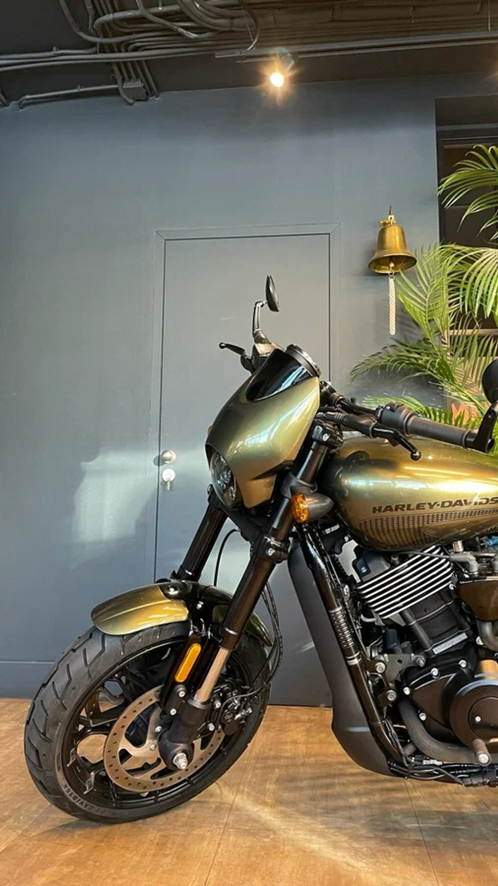 Harley-Davidson Street Rod, 2017