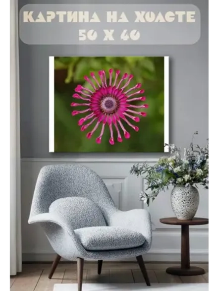 Картина на стену 40 X 50 Африканская ромашка