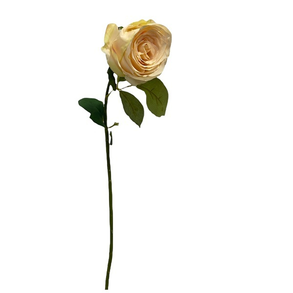 Роза персиковая 56 см [Арт. 87804]