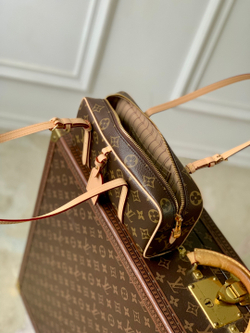 Louis Vuitton Hang On