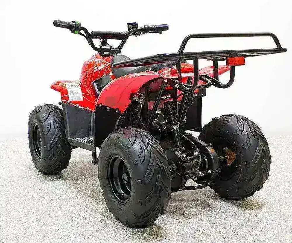 Электроквадроцикл Green Camel Гоби K51 (36V 800W R7 Цепь) ножной тормоз