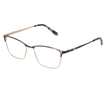 Очки для зрения с оправой E 2470-17-343
