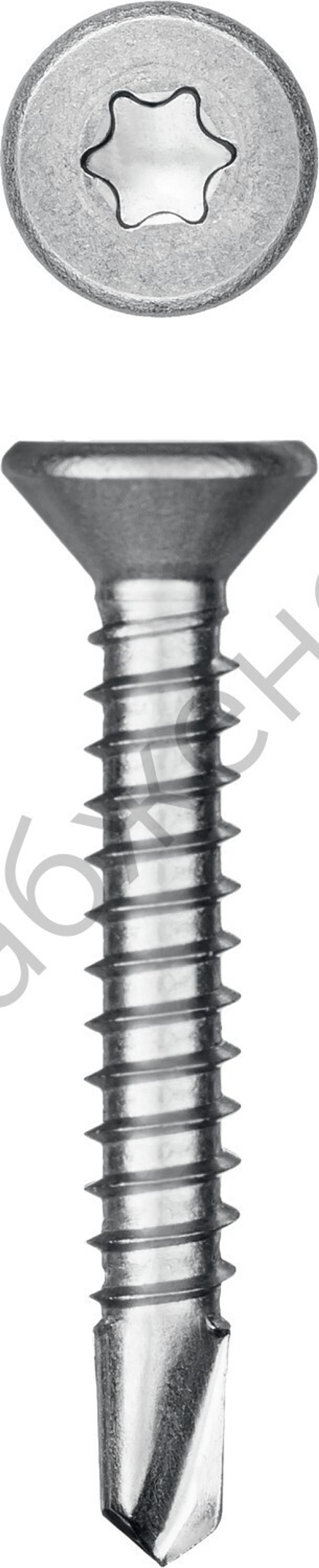KRAFTOOL DS-C 32 х 4.8 мм, А2, сверло, потай, ТХ25, саморез нержавеющий, 250 шт (300932-48-032)