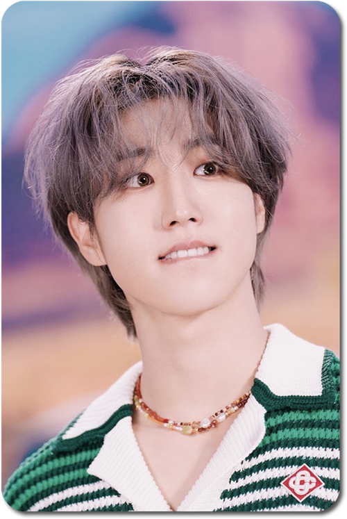 Карта / STRAY KIDS #0462