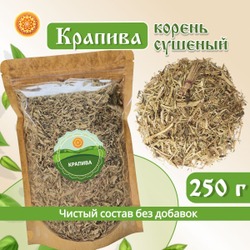 Крапива корень.