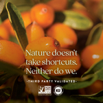 New Chapter, смесь омега-7 и облепихи, 60 вегетарианских капсул