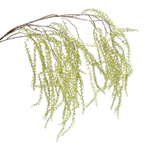 Дихондра сильвер ветка 130 см