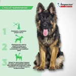 Инспектор КВАДРО капли для собак 4-10 кг (3 пипетки)
