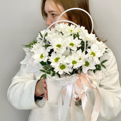 «Нежность»композиция из ромашковых хризантем