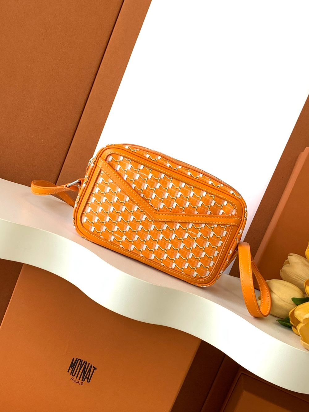 Moynat Camera Bag 22 cm