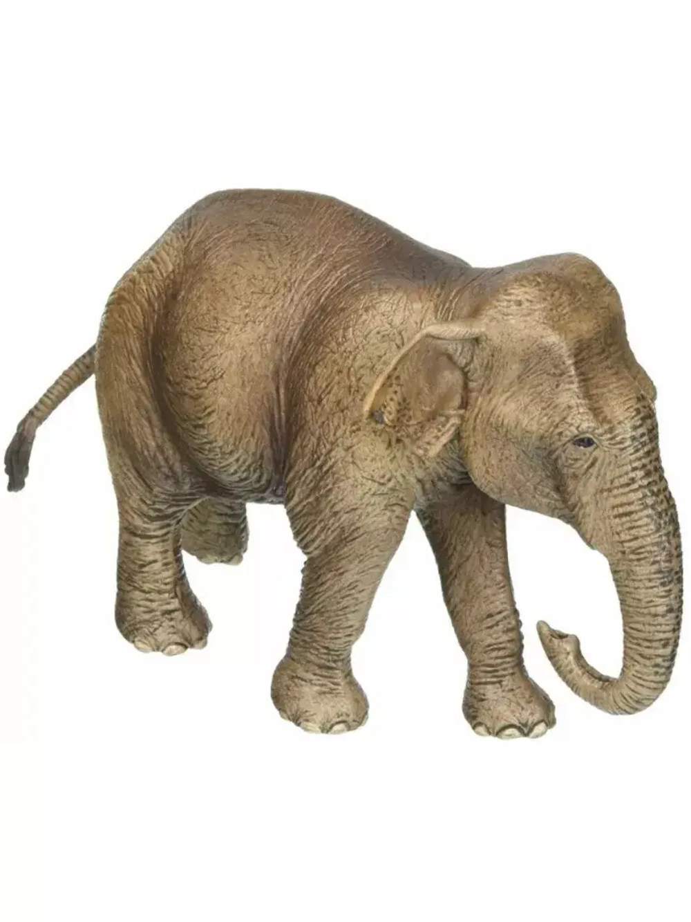 Фигурка Азиатский слон самка Schleich 14753