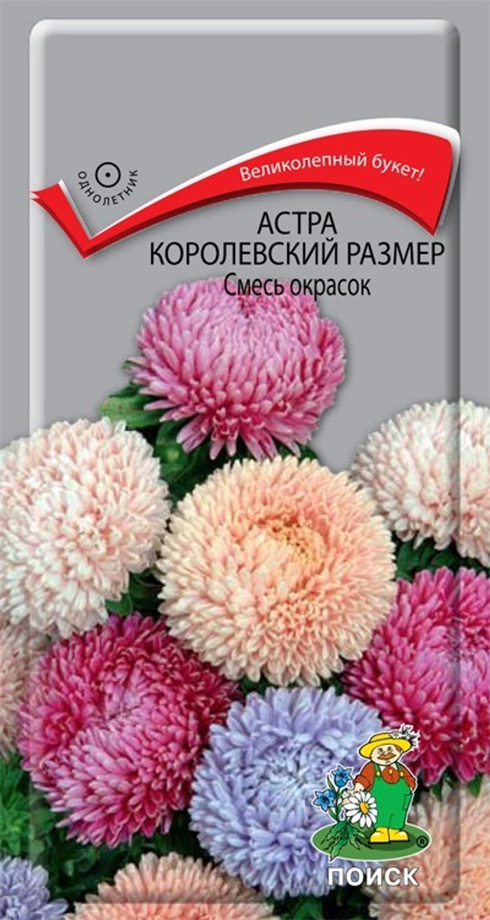 Семена Астра королевский размер Смесь окрасок