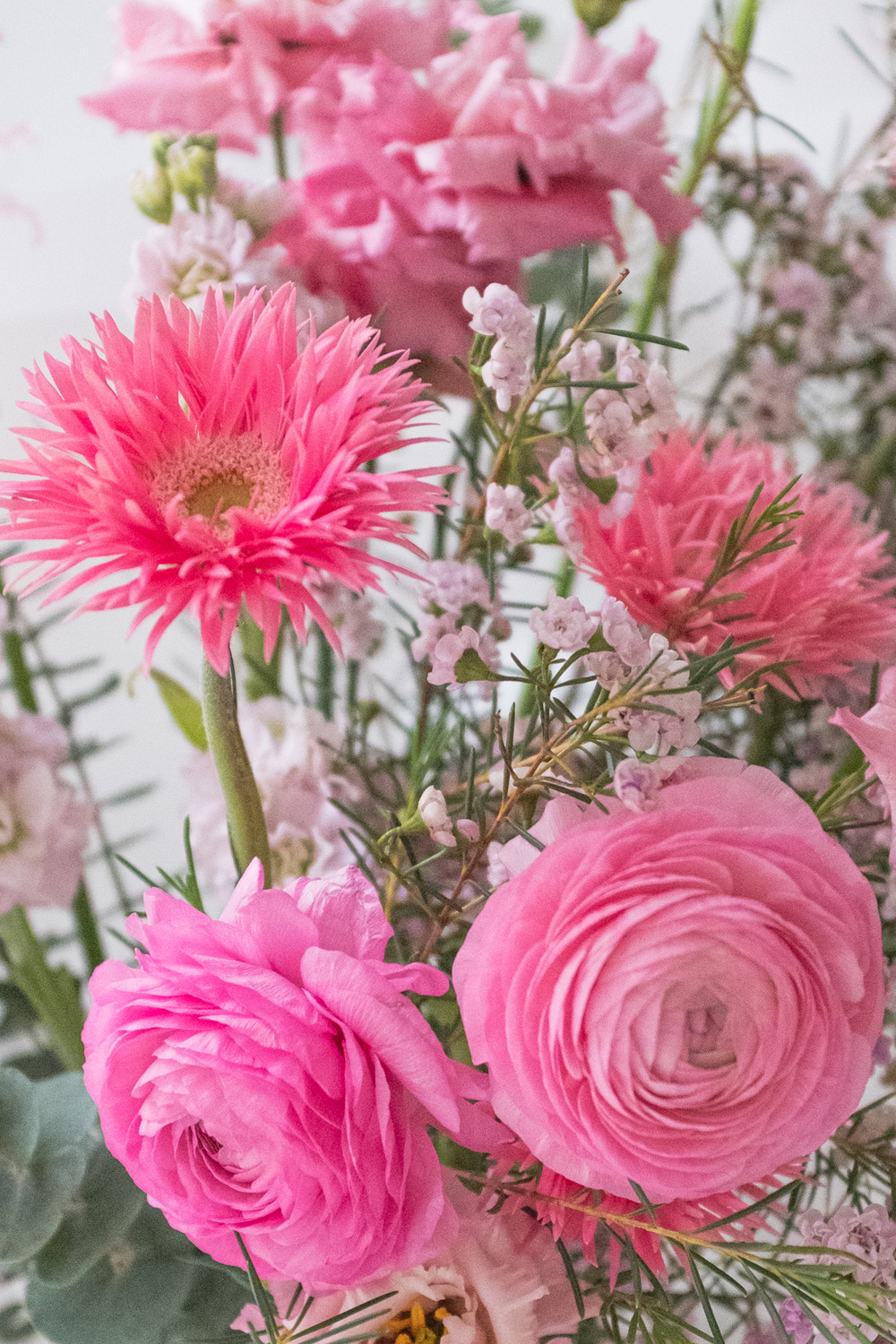 розовые ранункулюсы в букете