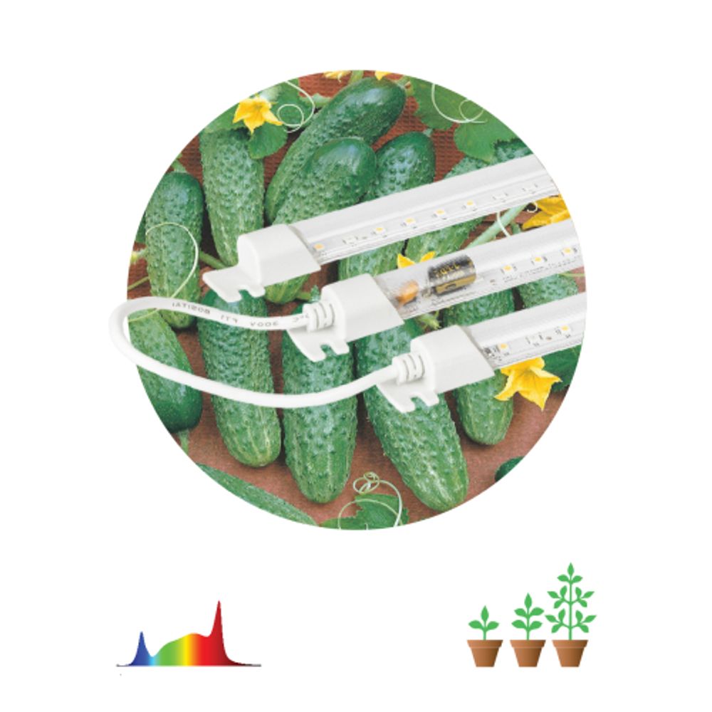 Модульный светильник для растений ЭРА FITO-3х10W-LINE-Ra90 полного спектра 30 Вт | Линейные фито светильники