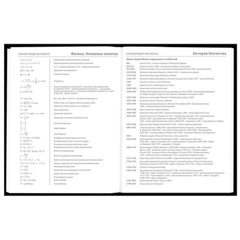 Дневник 5-11 класс 48 л., твердый, BRAUBERG, матовая ламинация, с подсказом, "Гитара", 107185