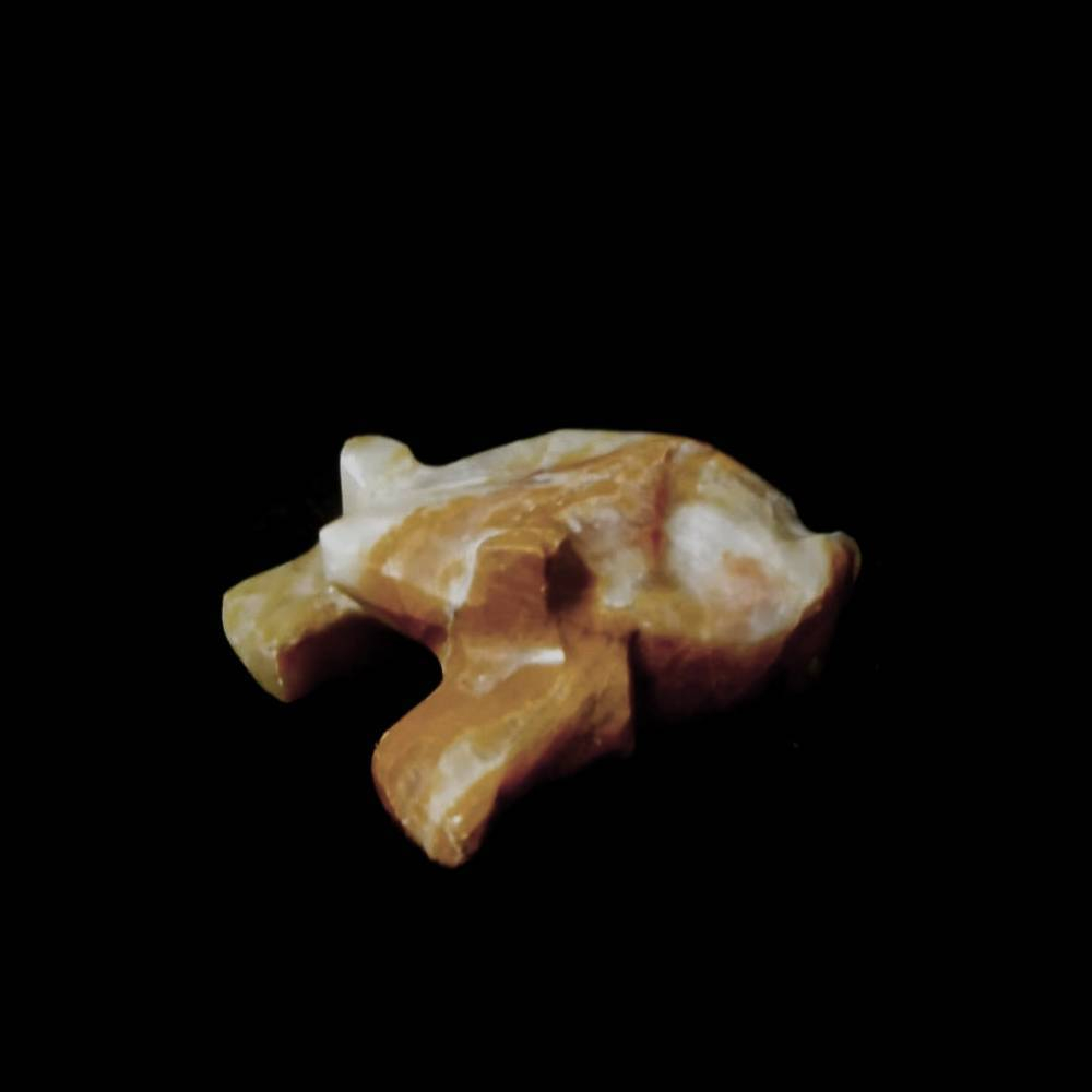 Лягушка оникс асс.