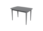 Стол обеденный Tammi 120*80 см (серый)