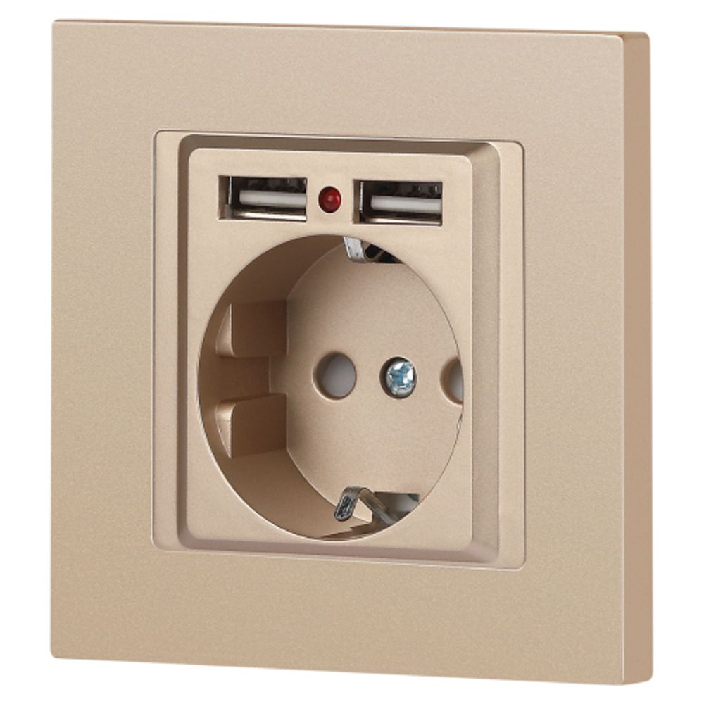 Розетка Intro Accent 6-410-04 , P+E Schuko со шторками, 16А-250В + 2хUSB, IP20, СУ, шампань | Intro