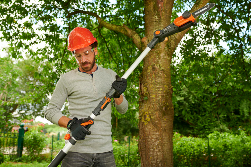 Цепная пила аккумуляторная телескопическая WORX WG349E.9