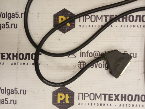 PAN-INTERNATIONAL W815397050103A04