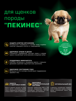 Quattro корм для щенков породы Пекинес, с ягненком, 6 кг, QUATTRO