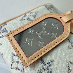 Louis Vuitton Speedy 20