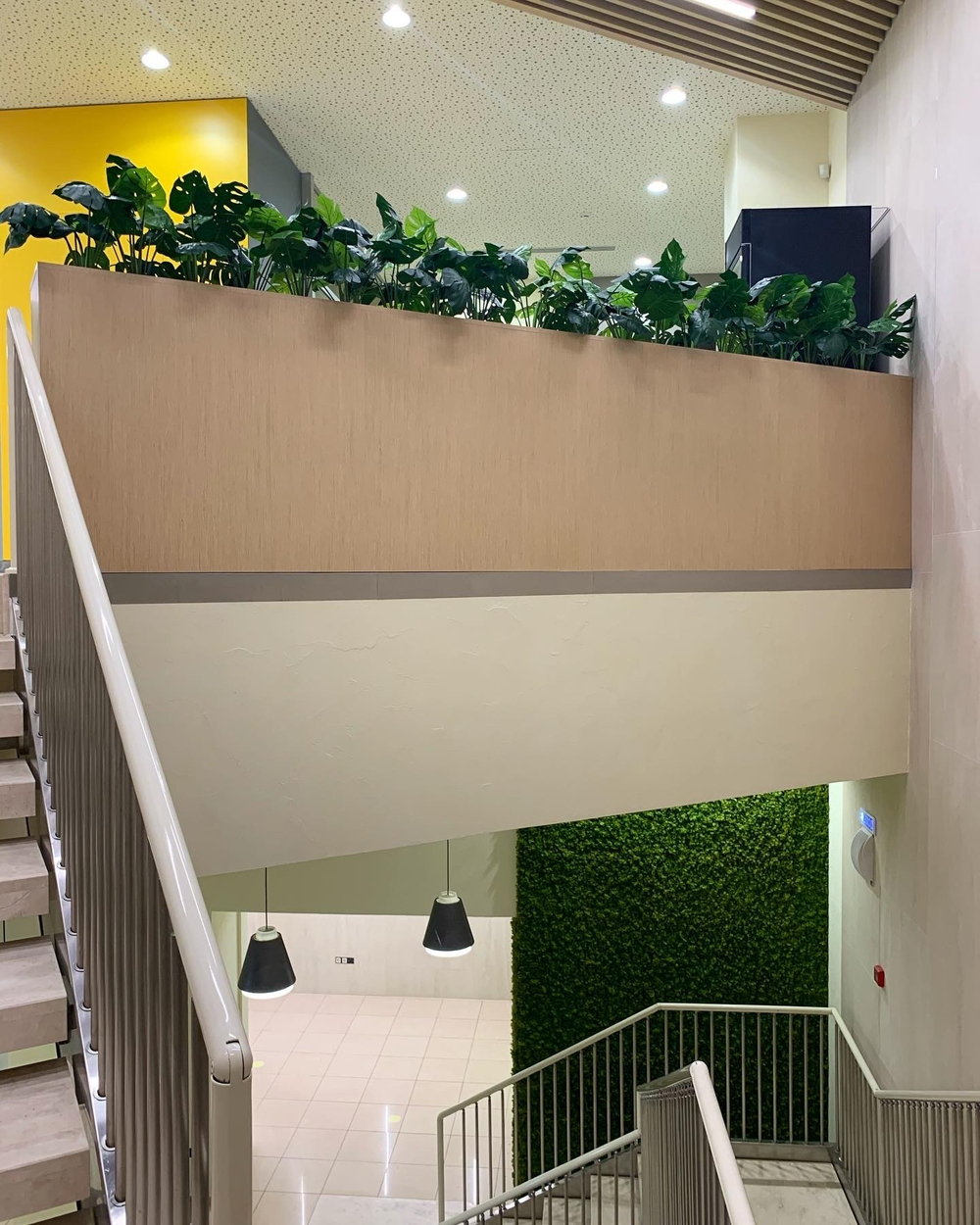 Озеленение искусственными растениями центрального офиса "Центр-Инвест Банка" г.Ростов