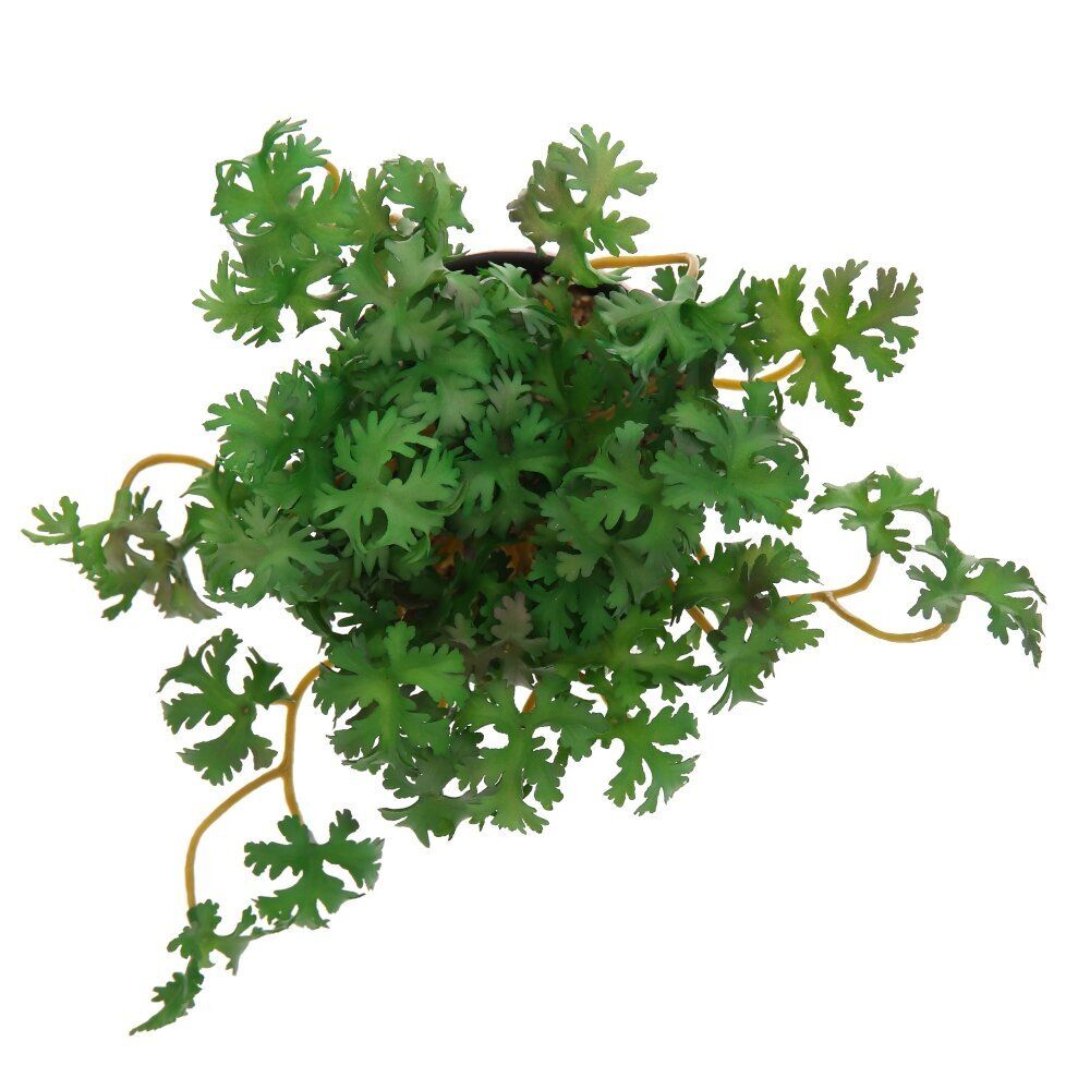 GAEM Цветочная композиция, L15 W15 H15 см