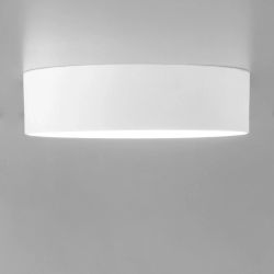 Citilux Тао CL712120N LED Светильник потолочный с диммером Белый