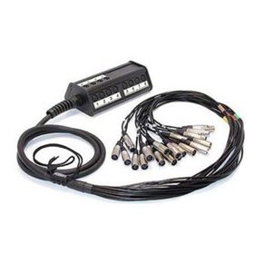 Мультикоры