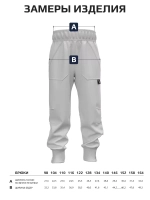 Спортивные штаны для мальчика на физкультуру