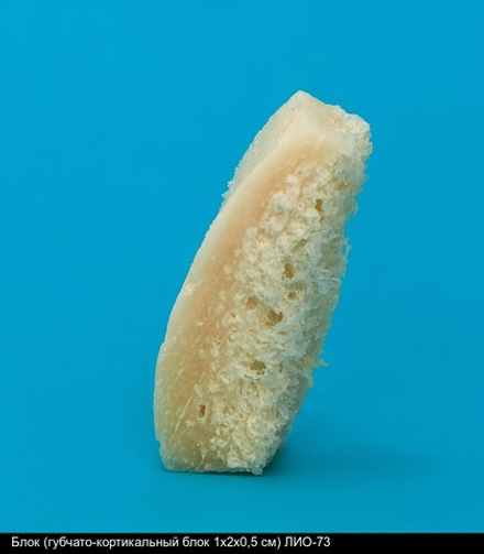 Блок (губчато-кортикальный блок 1х2х0,5 см) ЛИО-73