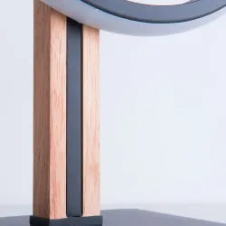 Декоративная настольная лампа Arte Lamp FLUIDO