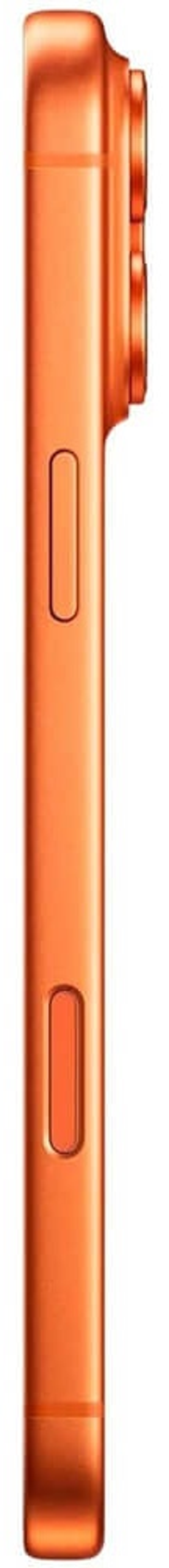 Смартфон Apple iPhone 17 Pro Max 256Gb оранжевый