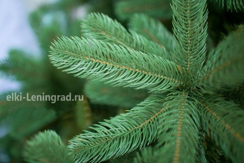 Большая елка «Европейская» (Литая+пвх) 6 м