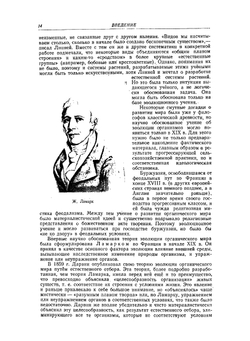 Ботаника. Том 1. Анатомия и морфология | Л.И. Курсанов