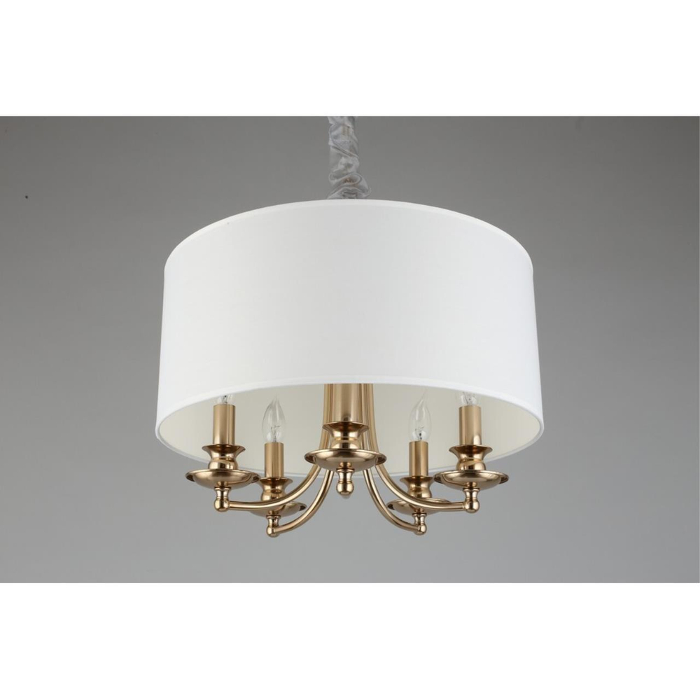 Подвесная люстра Aployt Berze APL.721.06.05