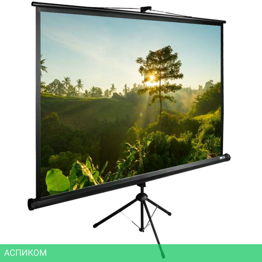 Проекционный экран Cactus TriExpert (CS-PSTE-200х200-BK)