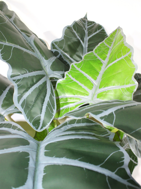 Искусственное растение Алоказия 150см в кашпо