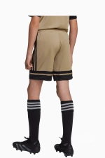 Шорты adidas Squadra 25 Junior - бежевый