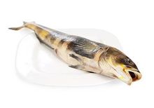 Терпуг Курильский замороженный~1кг