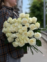 Белая роза сорт «Мондиаль» (Эквадор)
